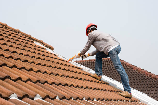 Best Roof Moss and Algae Removal  in Saratoga, CA